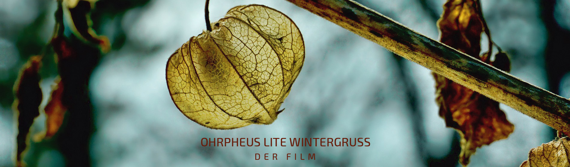 OHRpheus lite Wintergruß - der Film