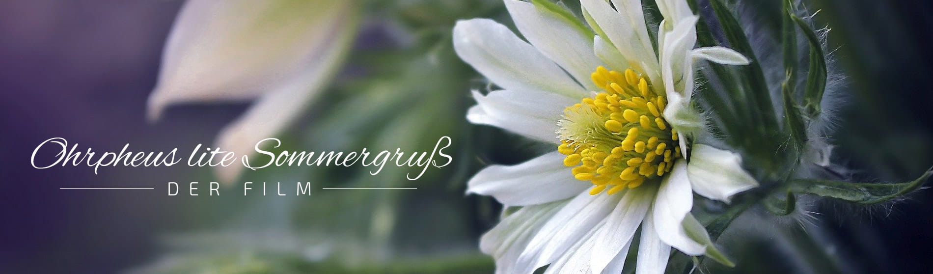 OHRpheus lite Sommergruß Slider