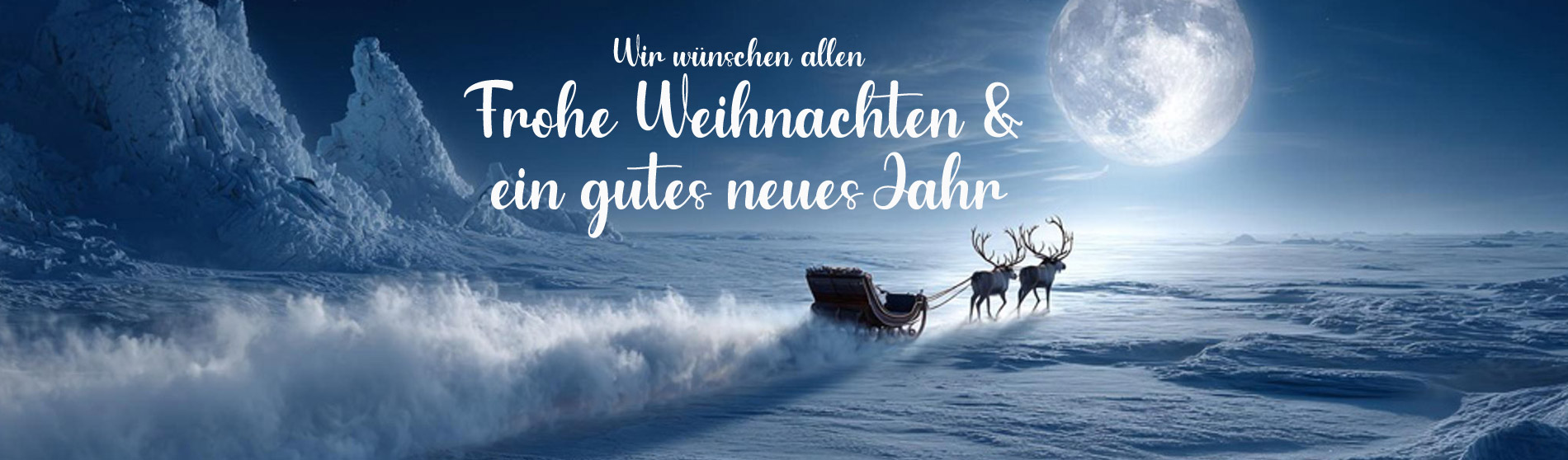 Frohe Weihnachten und ein gutes neues Jahr